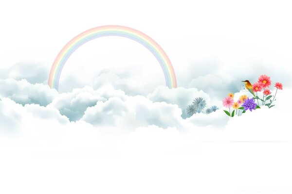 Rainbow and sky. Nature and flowers