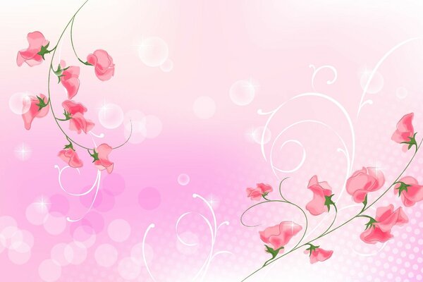 Background for a postcard with branches of pink flowers