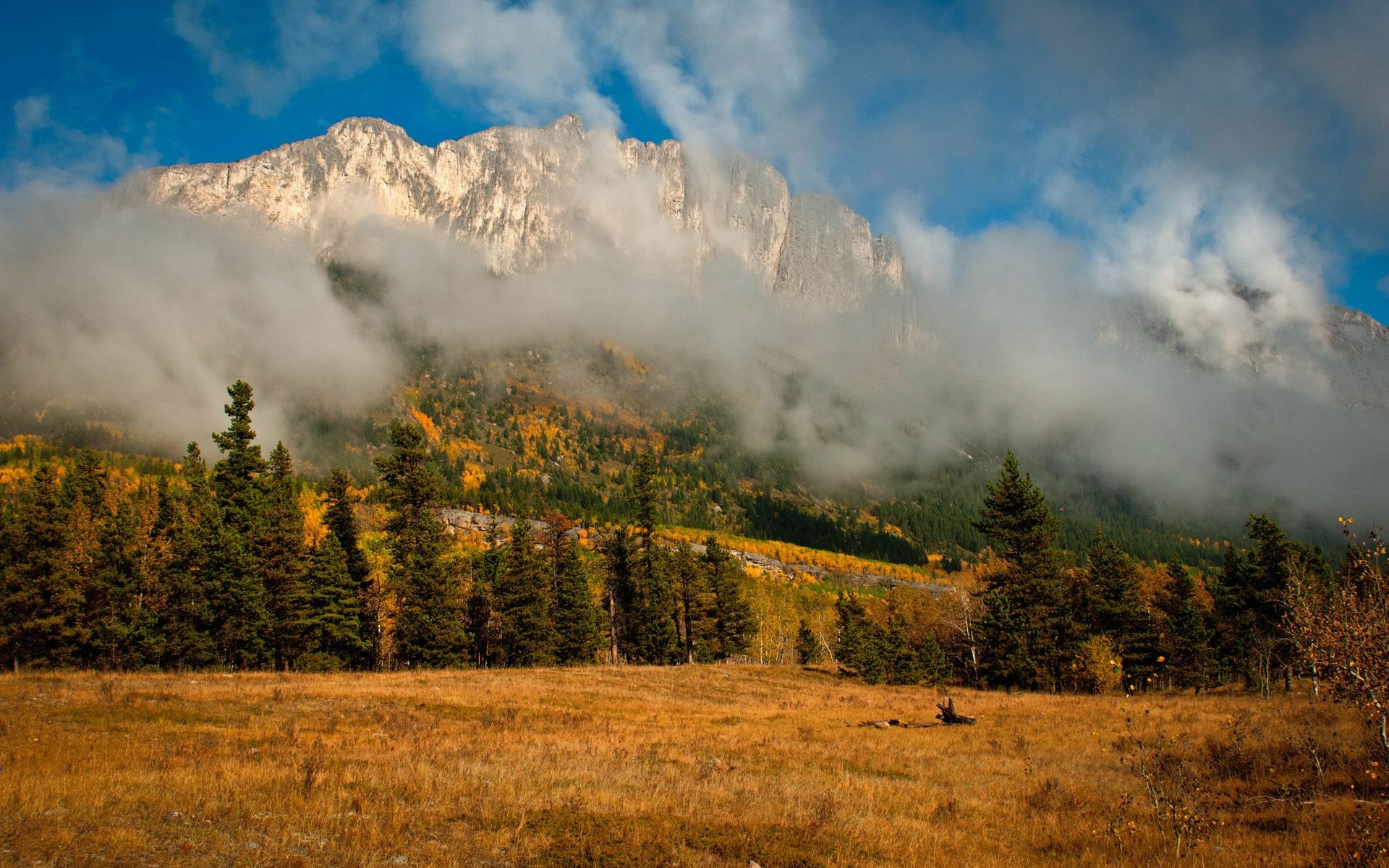 mountains landscape outdoors nature mountain sky fall travel tree wood snow dawn fog