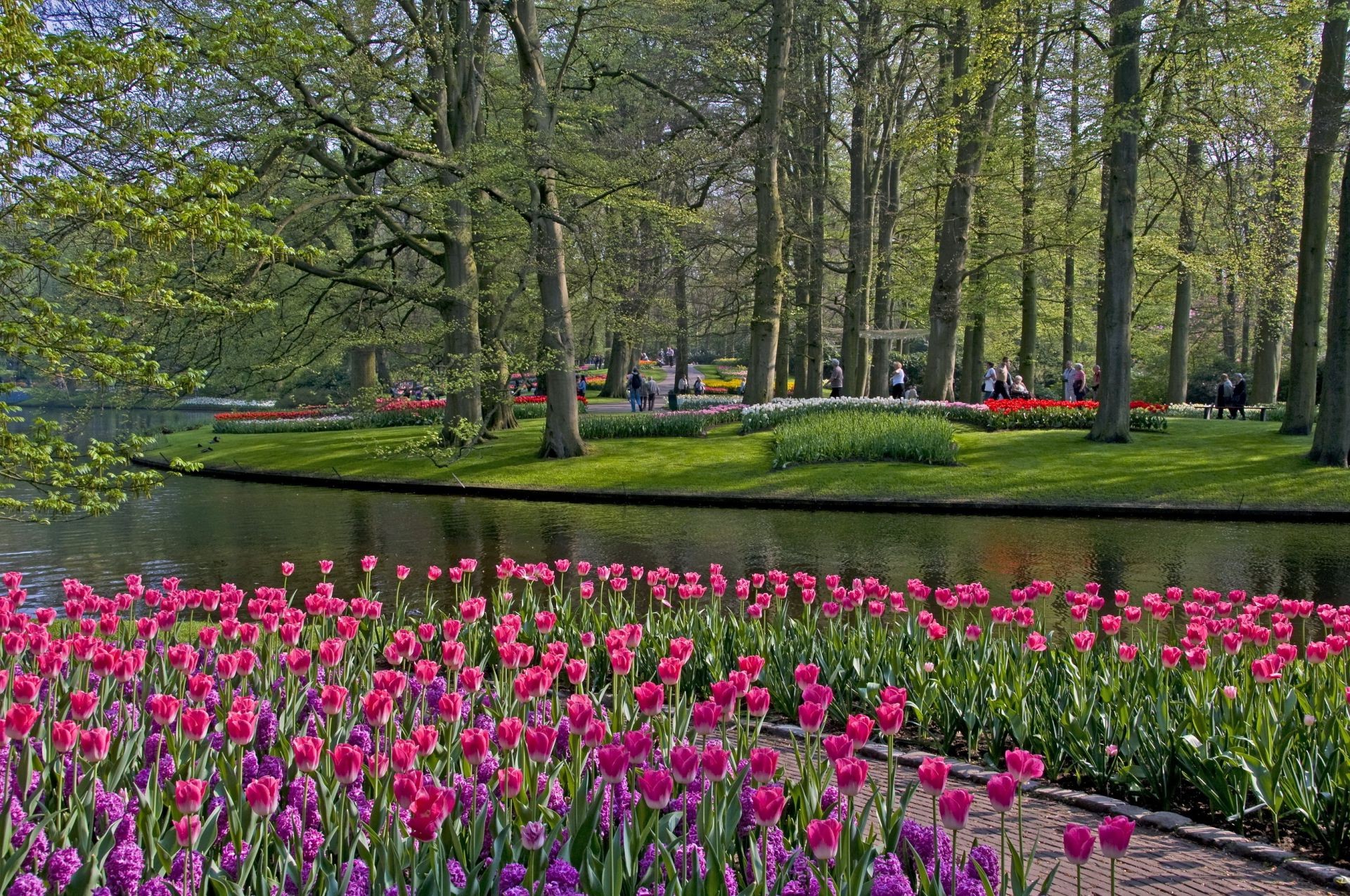 lugares famosos naturaleza paisaje flor parque hoja tulipán jardín temporada flora al aire libre verano árbol primavera hierba color medio ambiente