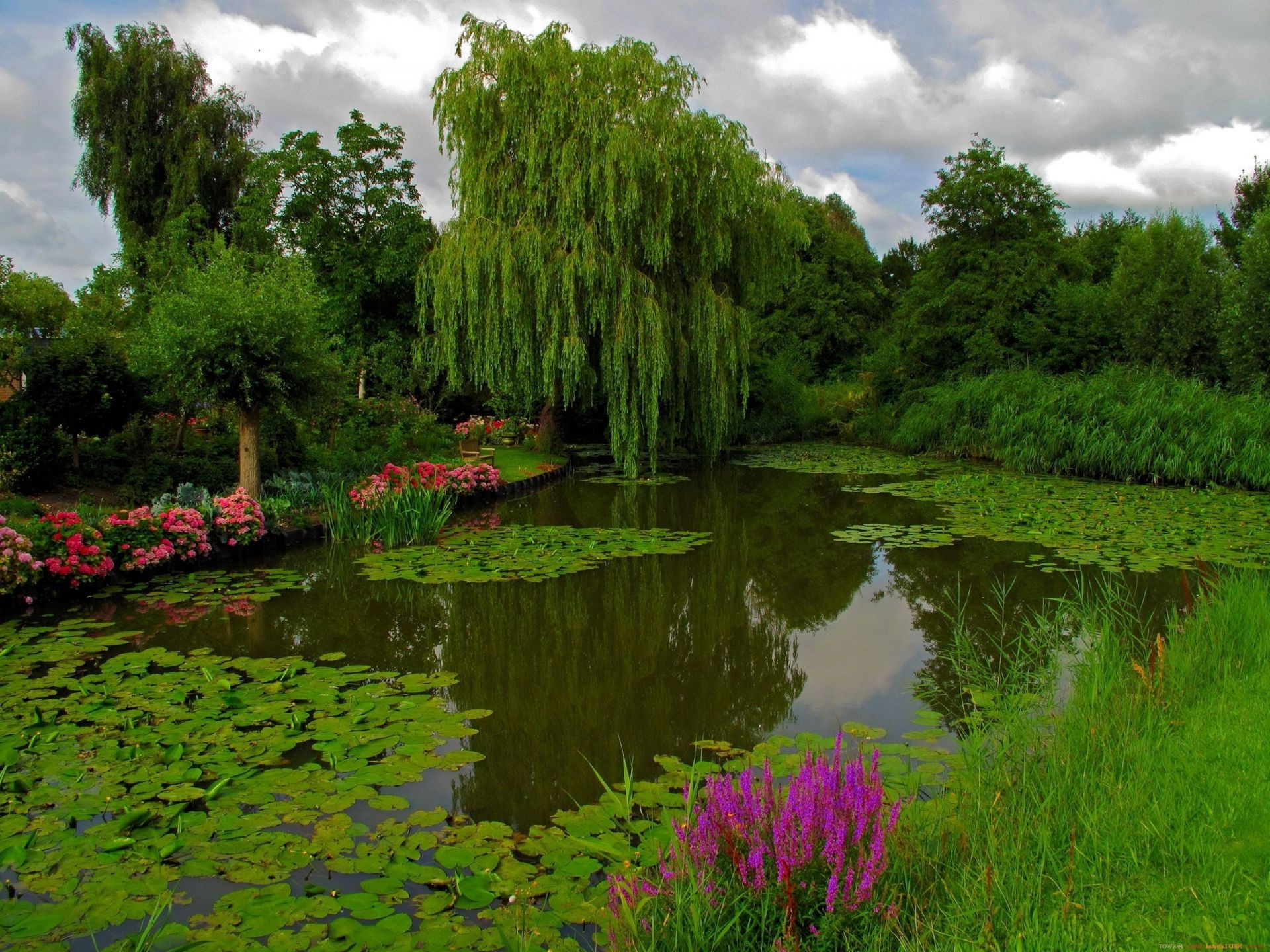 parklar havuz doğa göl su park ağaç bahçe manzara nehir çimen çiçek yansıma yaz açık havada yaprak ortamlar flora ahşap