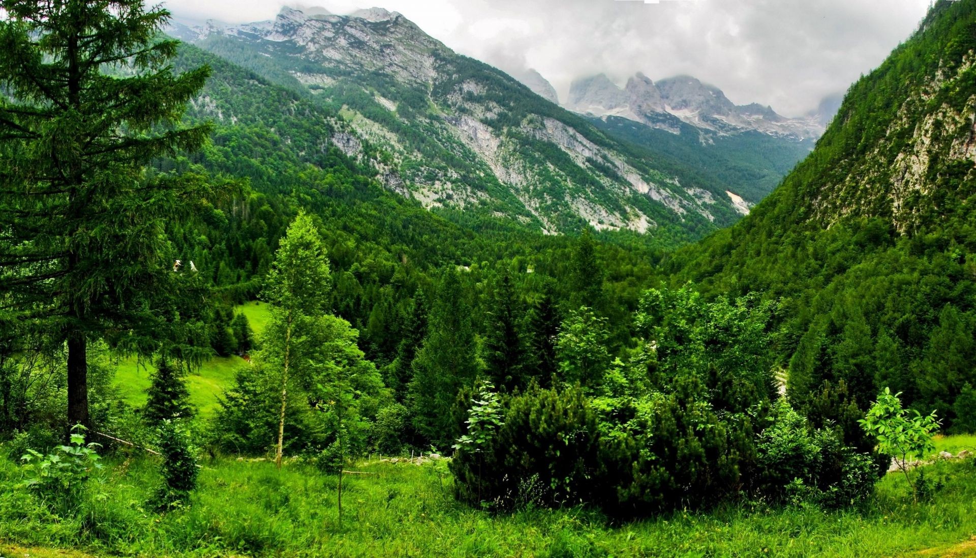 montagnes montagnes paysage nature bois colline arbre voyage vallée à l extérieur ciel été scénique spectacle herbe paysages foin flore