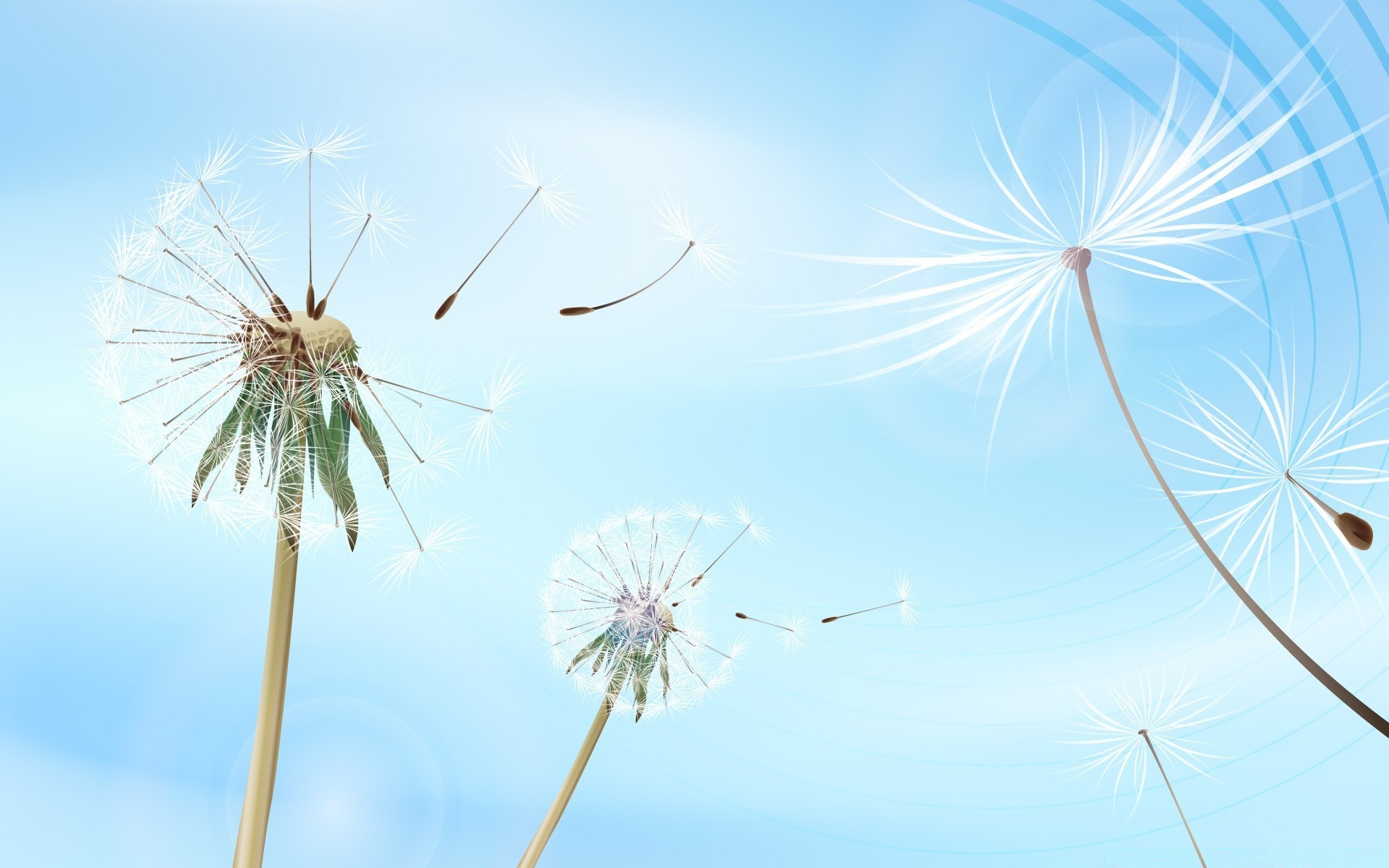 vector art dandelion sky wind summer nature