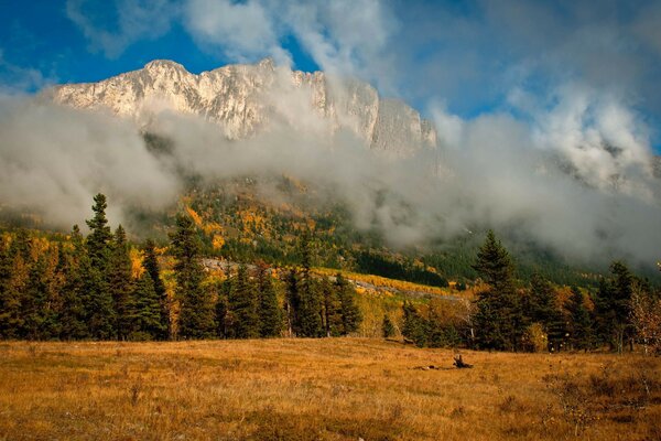 Eine Landschaft, die Berge, Wälder und Wolken zeigt