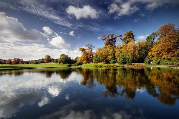 Bosque lago principios otoño campo