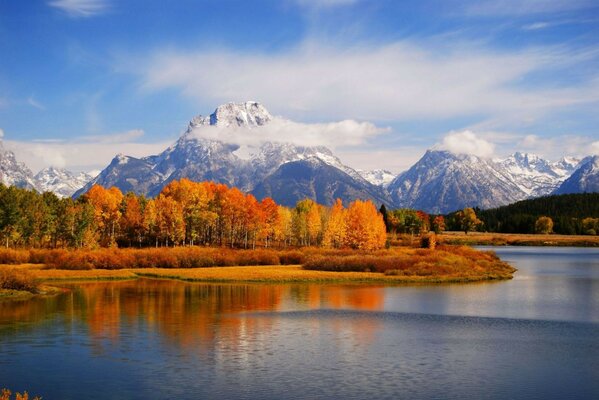 Autumn forest near the reservoir against the background of mountains