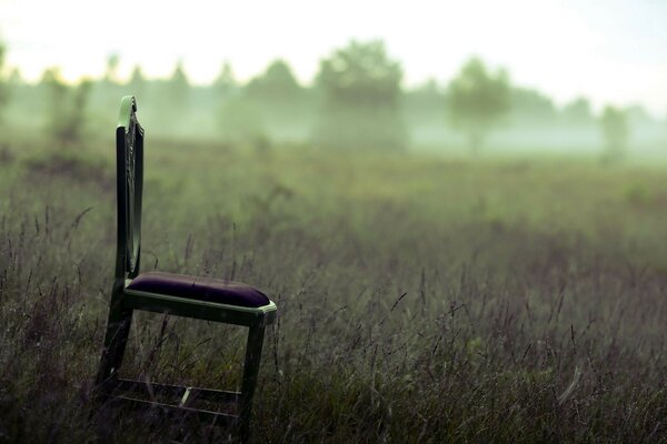 The chair stands against the background of a field and trees