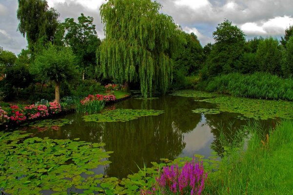 Lagoa da aldeia e matagais verdes