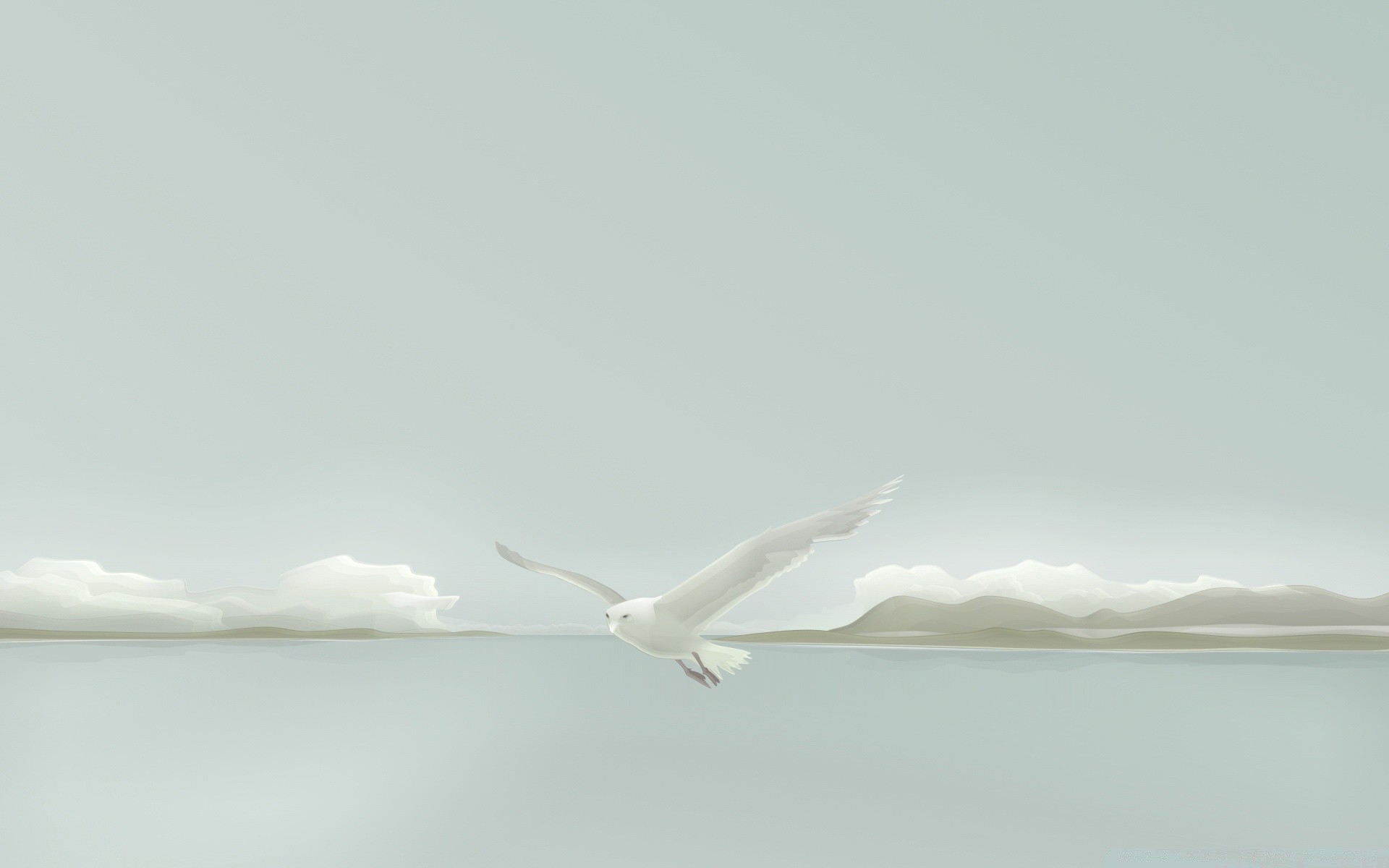 vector art bird sky water nature outdoors flight landscape winter travel seagulls snow lake sea wildlife summer ocean fog sun beach