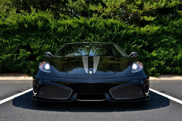 A sporty black car in the parking lot against a background of greenery