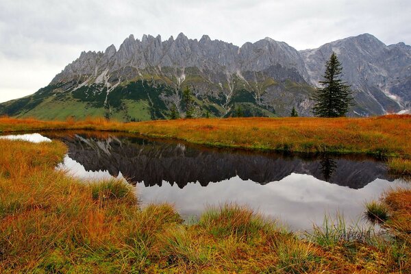 Paisaje de montaña de otoño con estanque