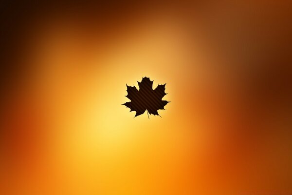 Hoja de otoño sobre un hermoso fondo