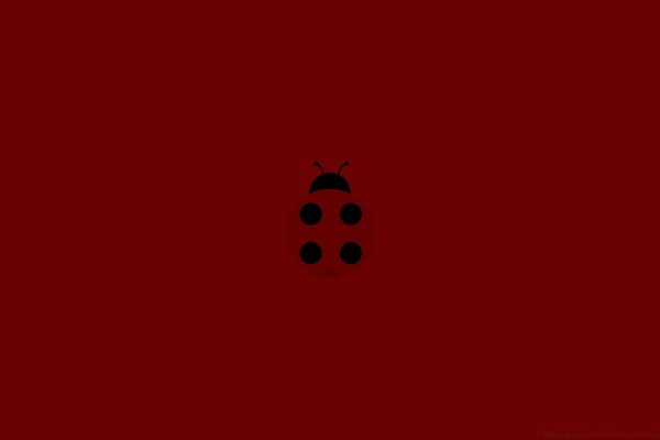 Art contemporain. image de coccinelle sur fond rouge