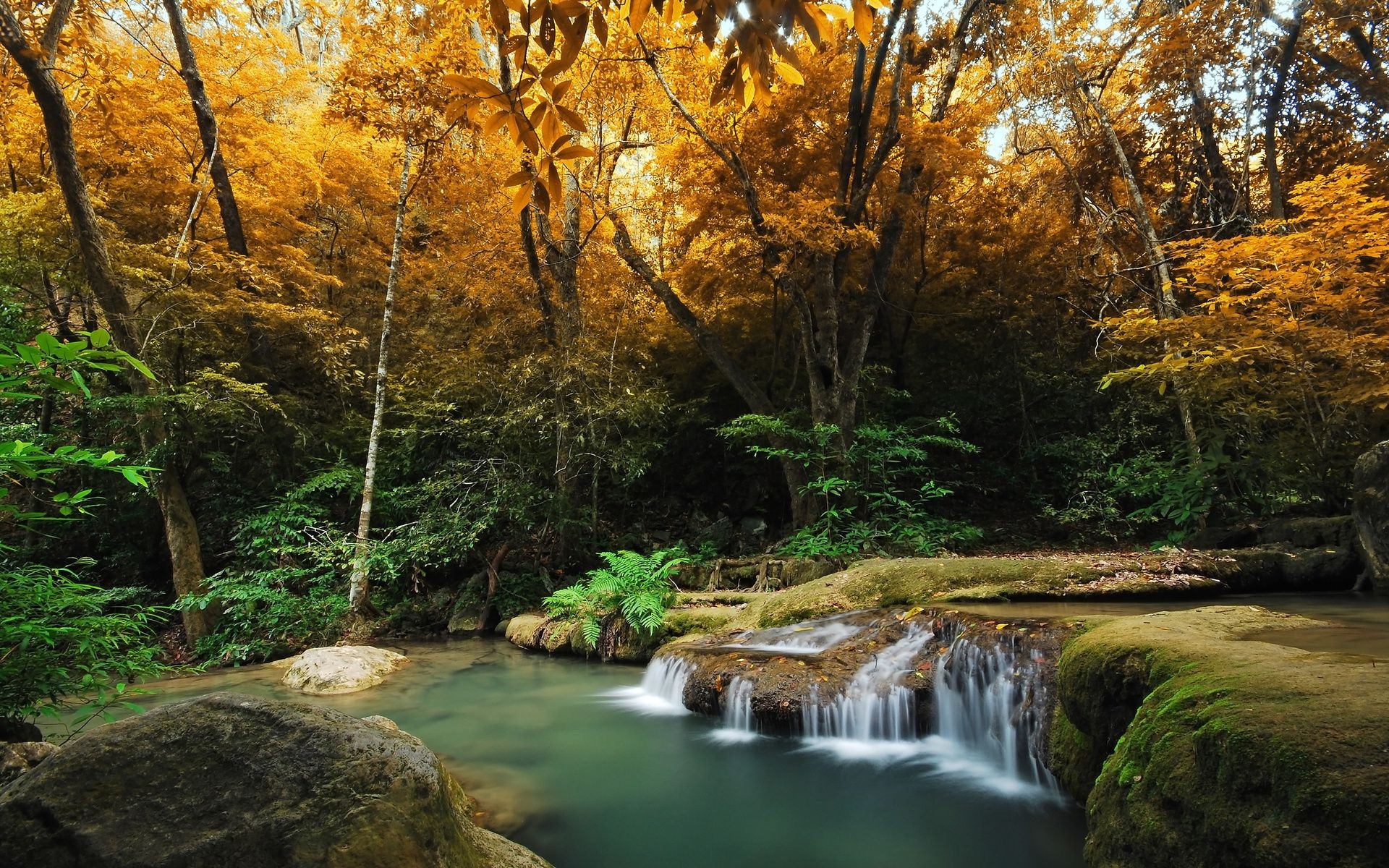 waterfalls wood fall water nature leaf tree landscape outdoors river scenic park stream travel waterfall lush environment scenery creek