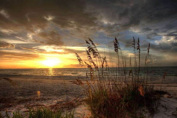 Paisaje que representa la puesta de sol, la playa y las olas