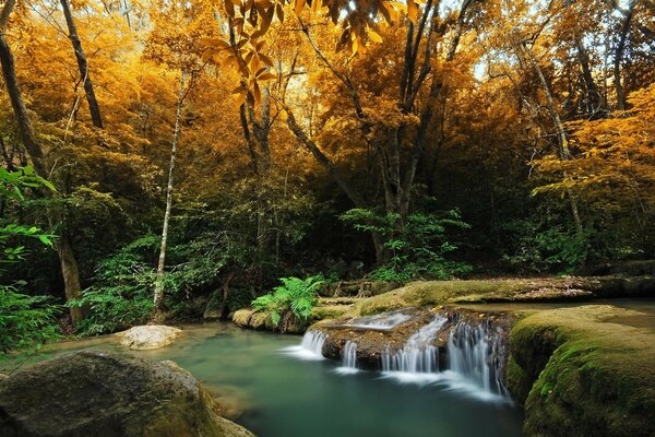 Golden Autumn Forest Waterfall