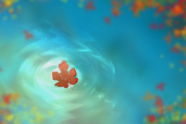 Vector graphics of an autumn leaf on the water