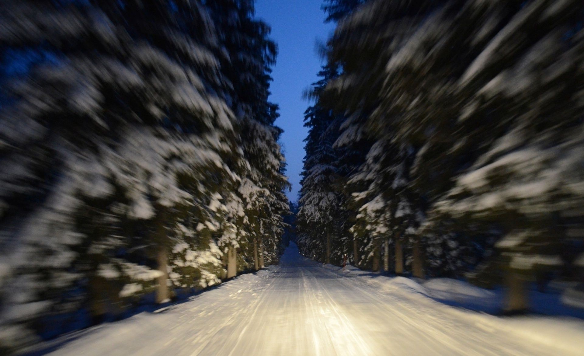 piante neve inverno freddo legno paesaggio albero ghiaccio gelo natura strada bel tempo viaggi congelato all aperto guida scenico tempo luce