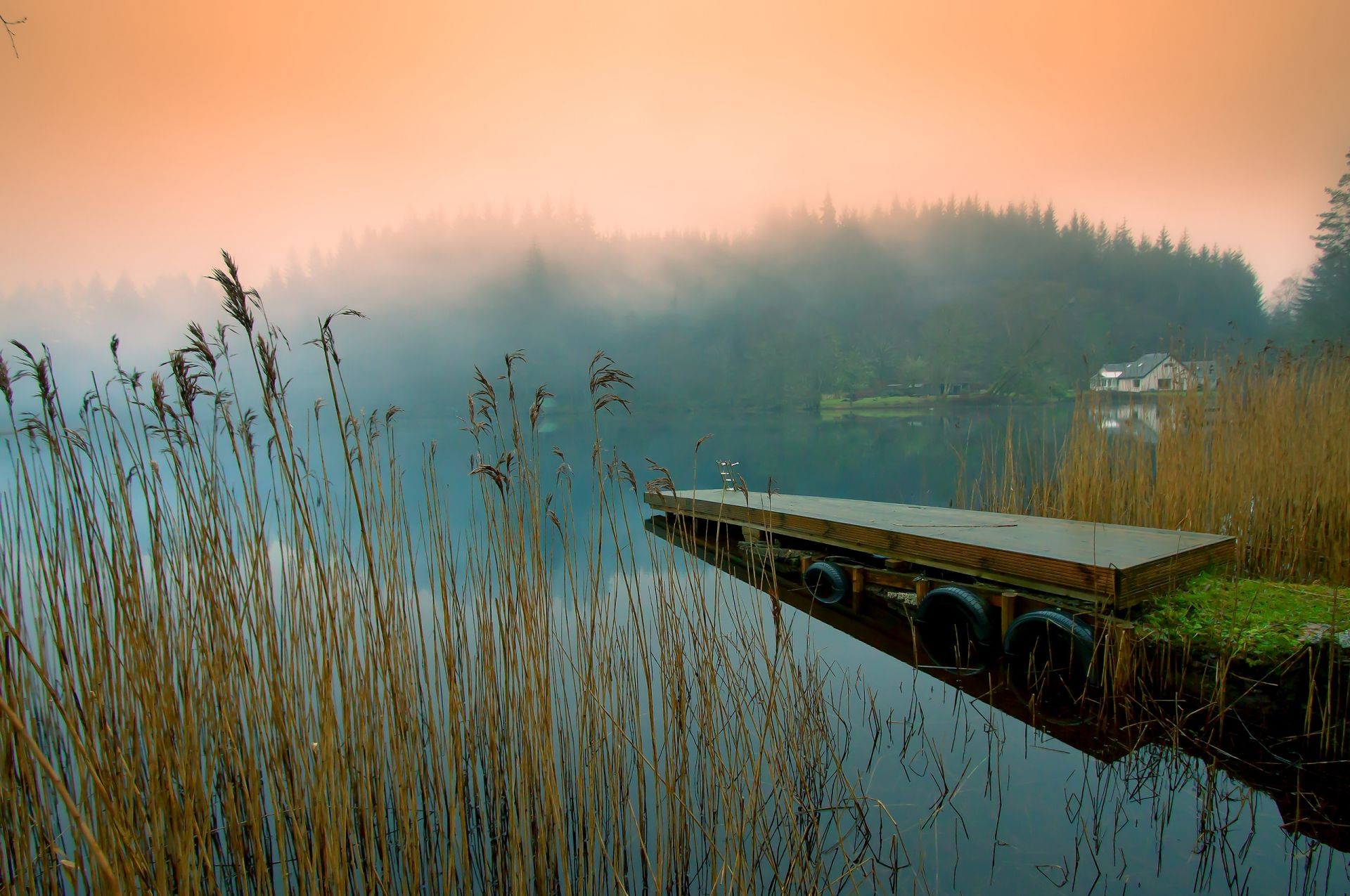 flüsse teiche und bäche teiche und bäche wasser dämmerung sonnenuntergang see natur reflexion sonne landschaft nebel himmel im freien reisen nebel dämmerung sommer licht fluss baum