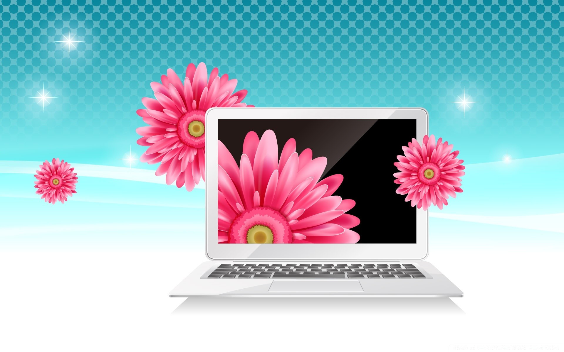 Розовый экран ноутбука. Фон для ноутбука. Фон для монитора компьютера. Красивые заставки на ноутбук. Ноутбук и цветы.