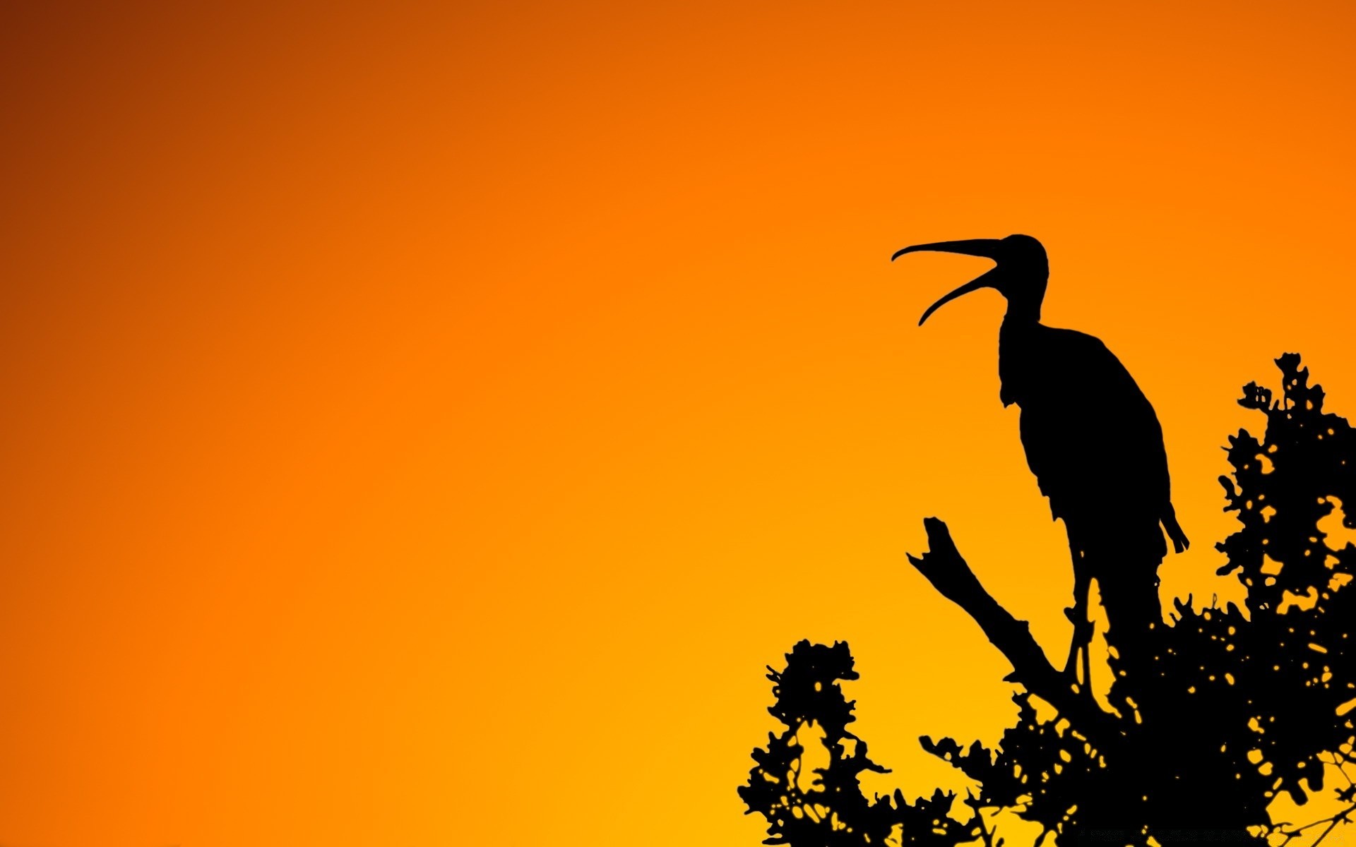 graphisme vectoriel coucher de soleil oiseau silhouette rétro-éclairé aube à l extérieur la faune nature ciel soir