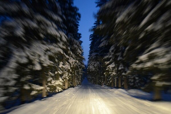 Driving through the winter forest at high speed. Winter forest in the light of car headlights