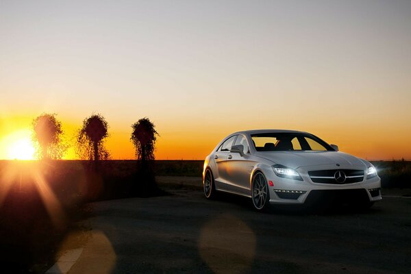 Voiture grise sur fond de coucher de soleil et trois arbres