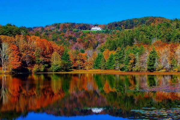 Superficie del lago en el fondo de los colores del otoño