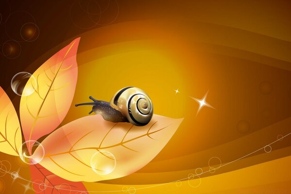 Bonheur, escargot, feuilles orange