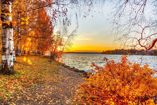 Herbstlandschaft vor dem Hintergrund des goldenen Sonnenuntergangs