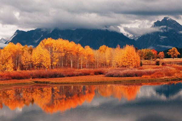 Bosque de otoño entre montañas y lagos