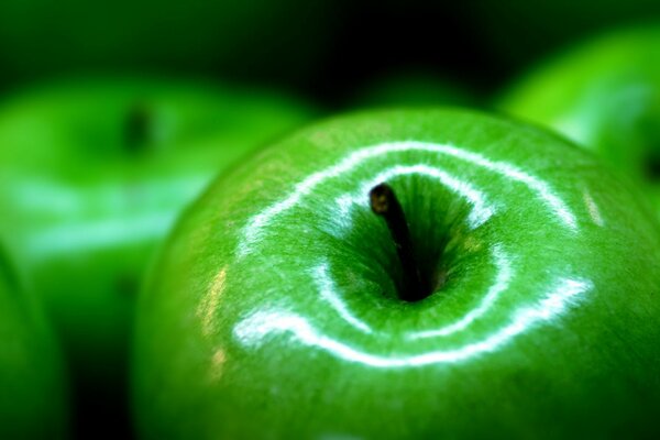 Grüner Apfel ist lecker und begehrt