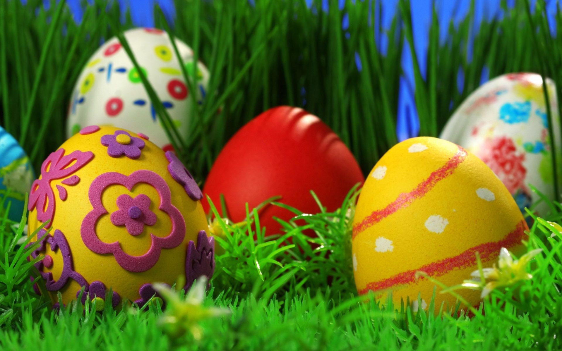 pasqua uovo vacanza erba decorazione uovo di pasqua stagione tradizionale nido caccia festival coniglio colore coniglio regalo religione fieno filo pasqua