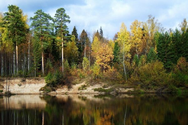 The autumn forest is reflected in the water