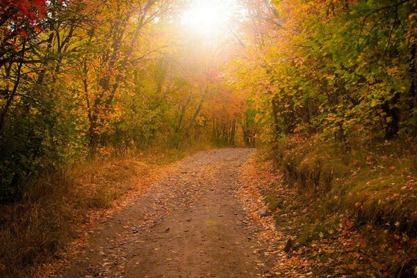 Bella costosa in autunno