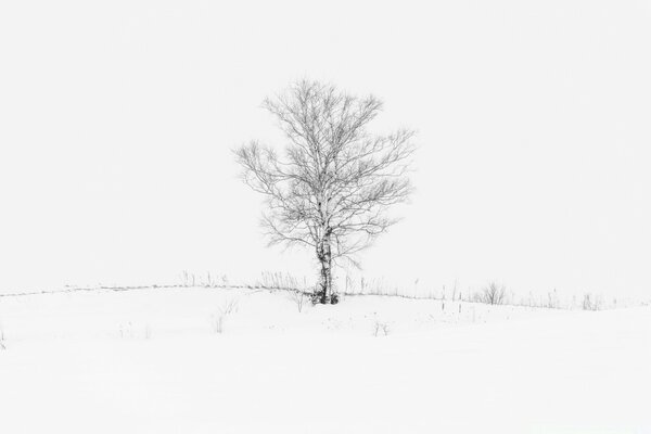 La nieve está lloviendo afuera