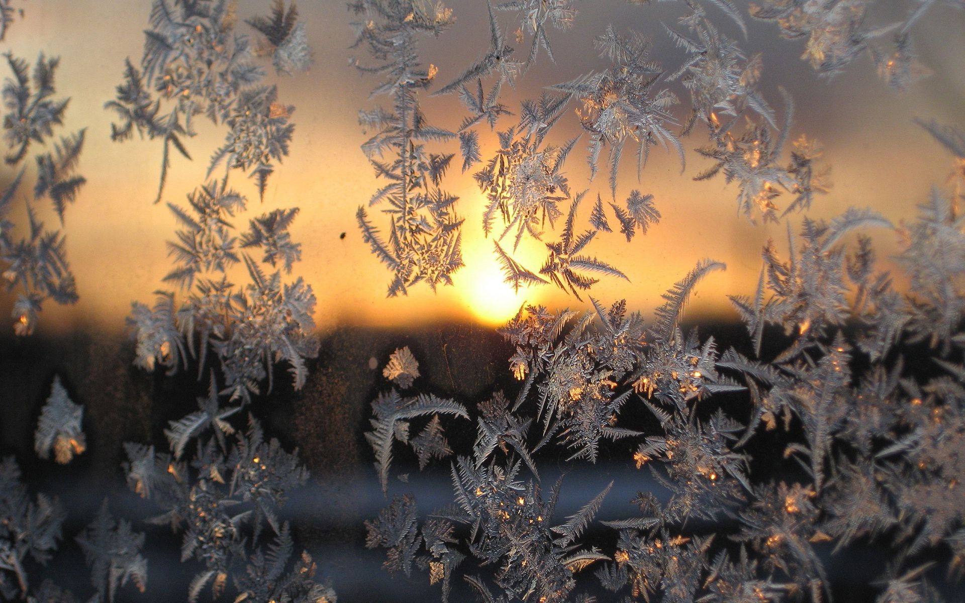 vetro legno desktop inverno natale arte all aperto luce oro