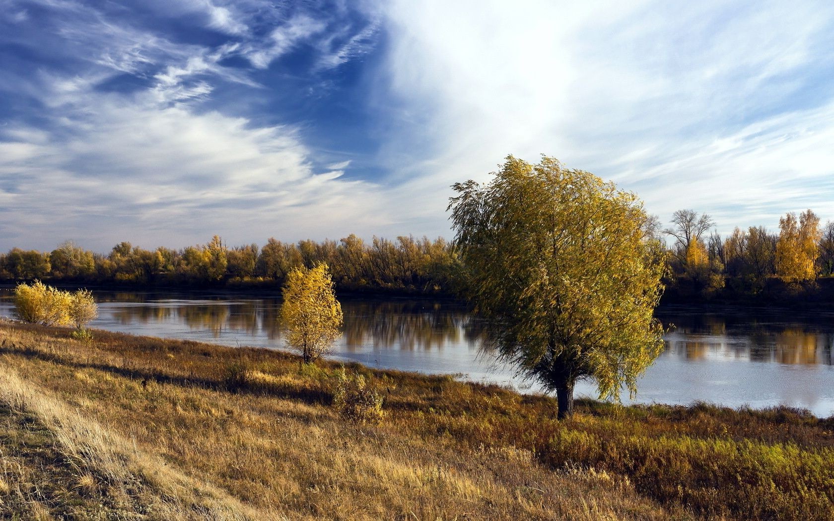 fiumi stagni e torrenti stagni e torrenti autunno paesaggio albero natura lago acqua all aperto fiume riflessione erba campagna cielo legno alba rurale foglia