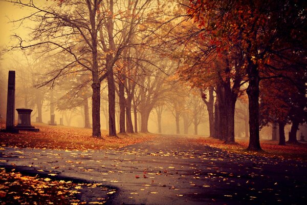 Herbstliche Nebelgasse im Morgengrauen