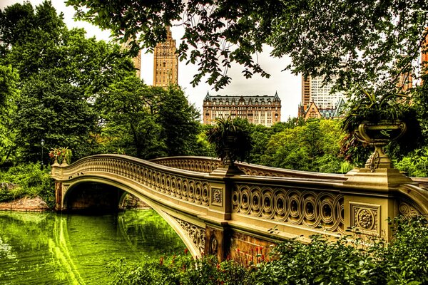 Bridge over the river in the thick of greenery