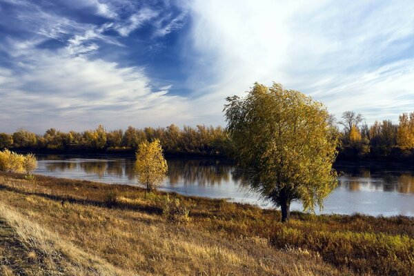 Paisaje de otoño EA orilla del río