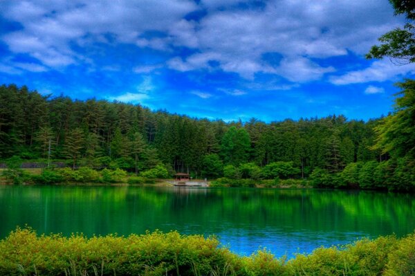 Landscape Lake Forest grass Sky clouds