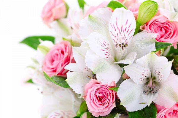 Bouquet di poveri gigli e rose rosa