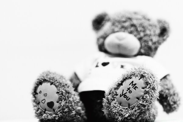 Teddy bear, the idol of girls, a symbol of love