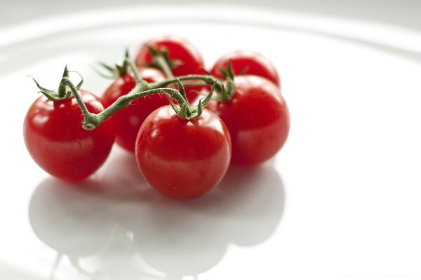 Délicieuses tomates cerises sur un plateau blanc