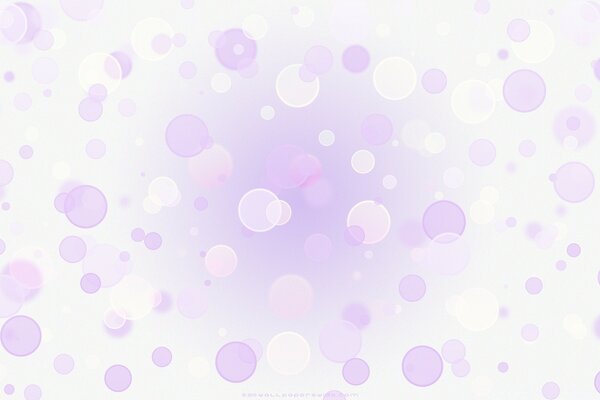 White wallpaper with bubbles, royal color