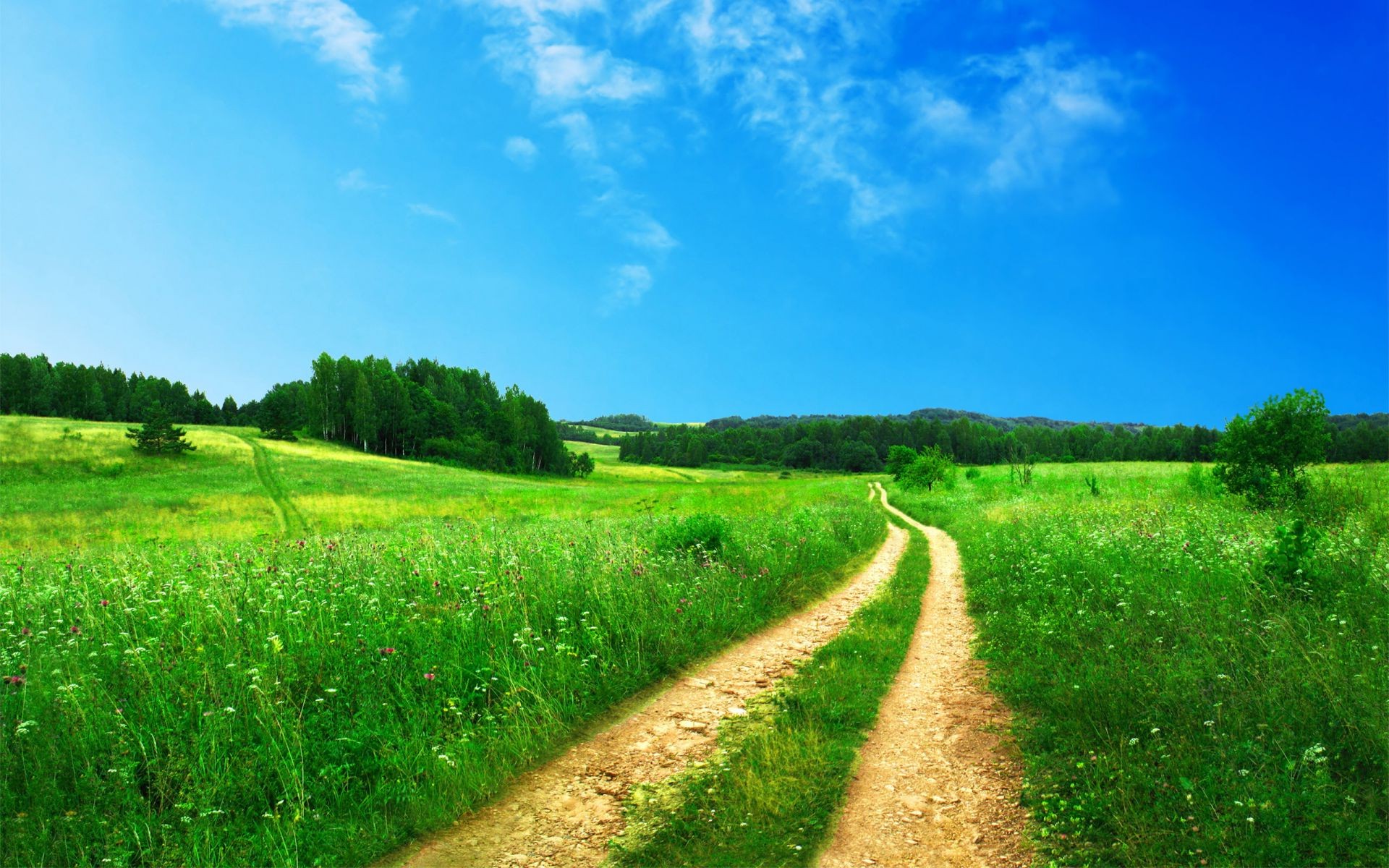 sonnenlicht und strahlen des ländlichen landschaft feld gras landschaft landwirtschaft natur sommer heuhaufen himmel land im freien boden bauernhof weide straße horizont baum wachstum