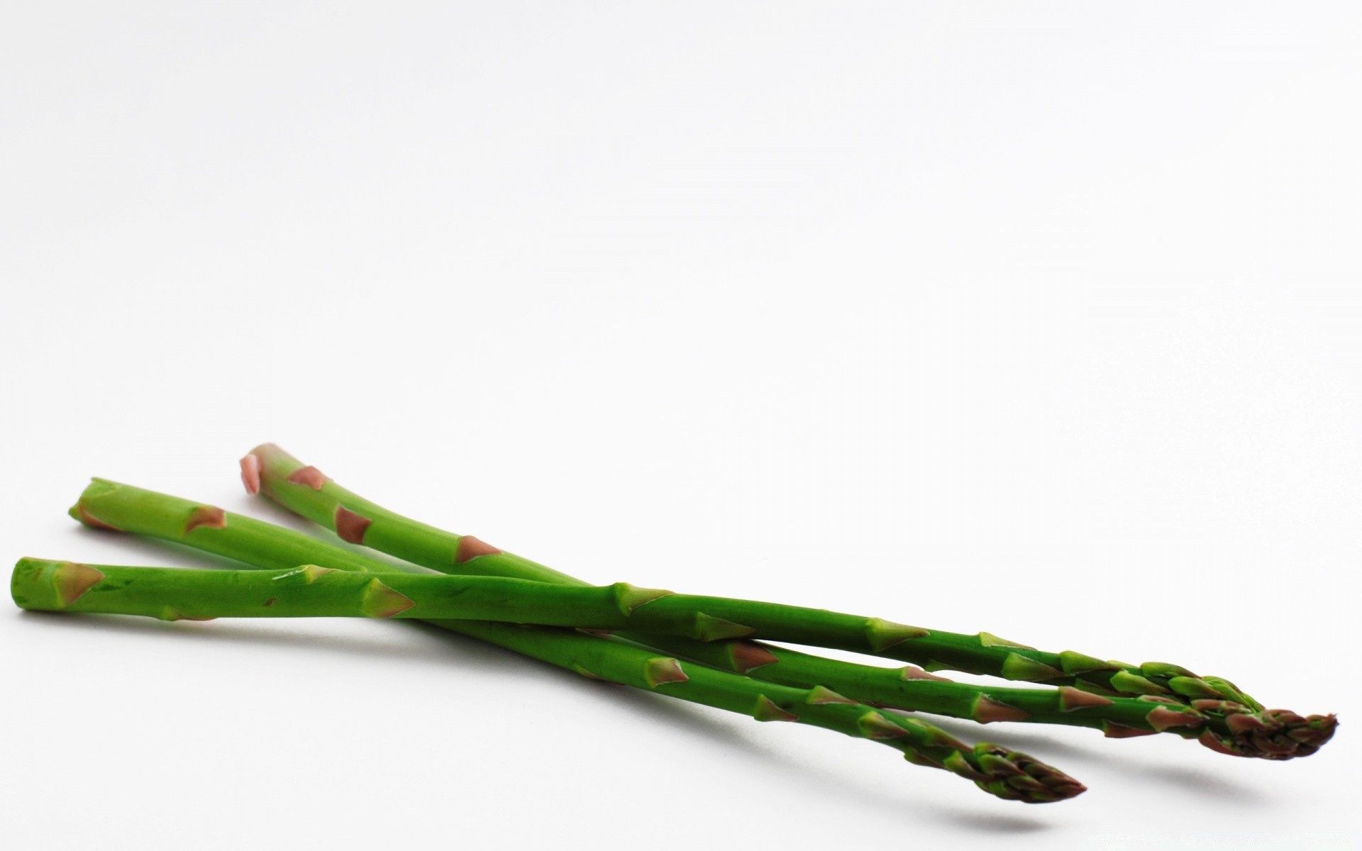 blanco naturaleza asparagus crecer hoja comida cocina aislado vegetal naturaleza muerta recorte flora