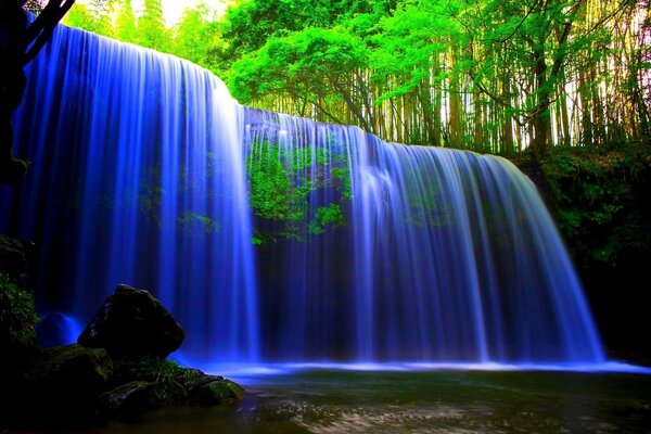 Cascada de neón en el bosque