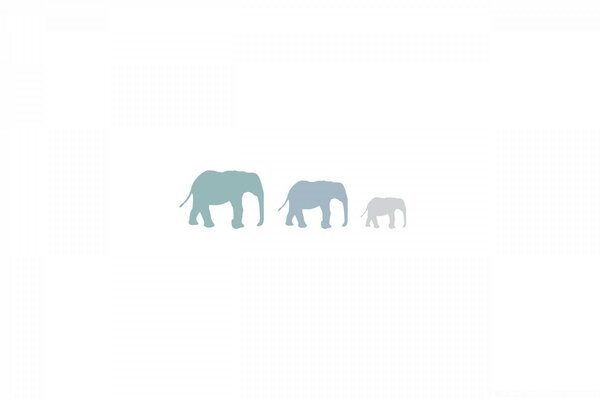 The Departing elephant Family on white